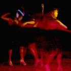 Fotoshooting bei Balsereit Köln